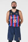 N. Mirotic