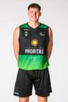 H. Ellenson