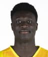 M. Diop