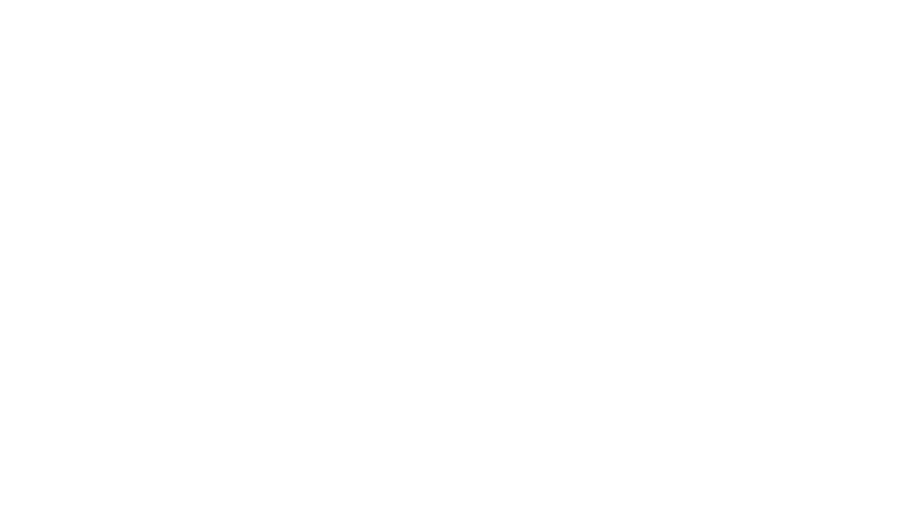 Liga U Logo